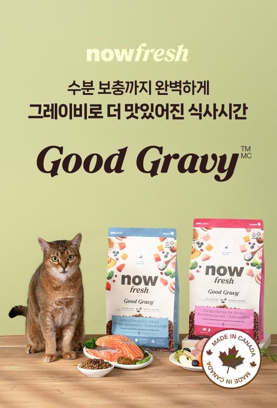 (사진=이글벳) *재판매 및 DB 금지