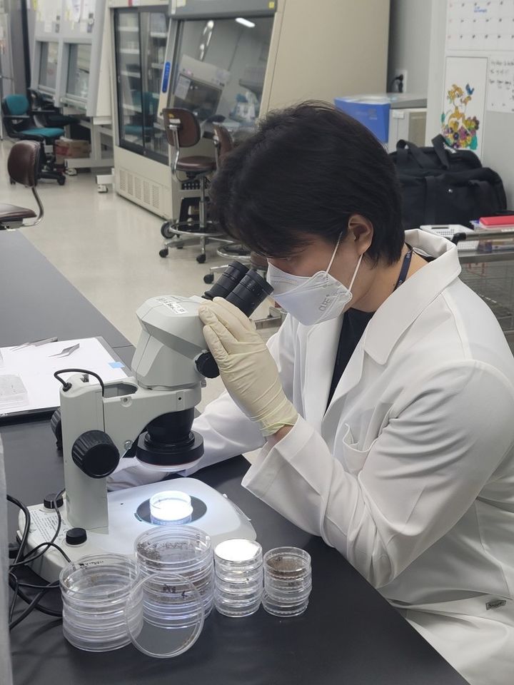 [수원=뉴시스] 감염병 매개모기 감시. (사진=경기도 제공) 2026.04.01. photo@newsis.com *재판매 및 DB 금지