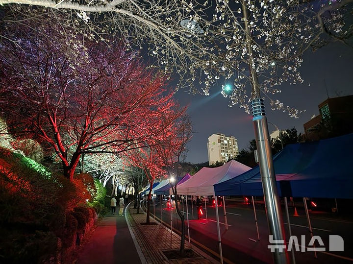 [성남=뉴시스] 지난해 열린 성남시 도촌 봄맞이길 벚꽃축제 (사진=성남시 제공) 2026.04.01.photo@newsis.com