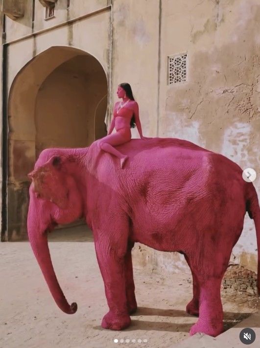 [서울=뉴시스] 분홍색으로 칠해진 코끼리. (사진출처: 인스타그램 @julia.buruleva)2026.04.01.