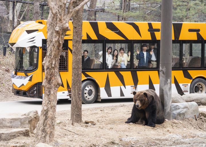 (사진=에버랜드 제공) *재판매 및 DB 금지