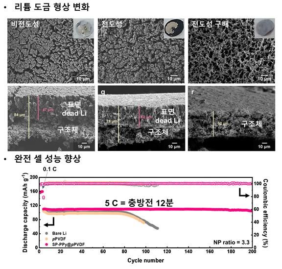 구조체 표면에 리튬 친화적인 폴리피롤(PPy)을 코팅하고, 내부는 전기가 통하고 외부는 절연되도록 설계한 ‘전도성 구배’ 구조를 적용한다. 덕분에 리튬이 골고루 성장하여 뾰족하게 쌓이는 문제가 줄어든다. (이미지=GIST 제공) photo@newsis.com *재판매 및 DB 금지