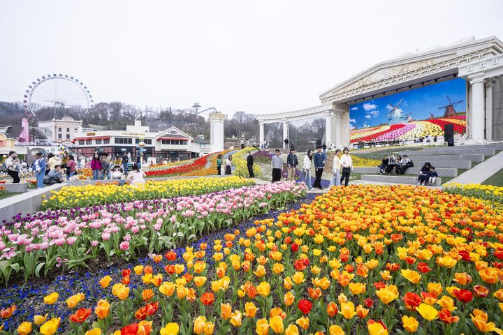 (사진=에버랜드 제공) *재판매 및 DB 금지