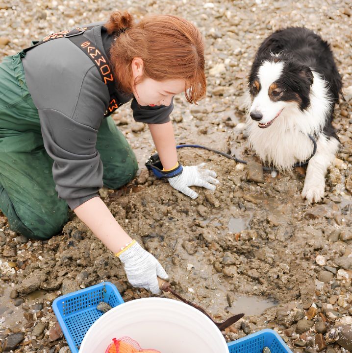 [태안=뉴시스] 지난해 태안 '댕댕이 갯벌 체험' 프로그램에 참가한 한 관광객이 반려견과 함께 갯벌에 들어가 조개를 캐고 있다. (사진=태안군 제공) 2026.04.01. photo@newsis.com *재판매 및 DB 금지
