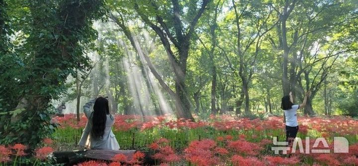 [포항=뉴시스] = 놀숲패스 시범투어 포항 코스 방문지 '기청산식물원' 2026.04.01. photo@newsis.com