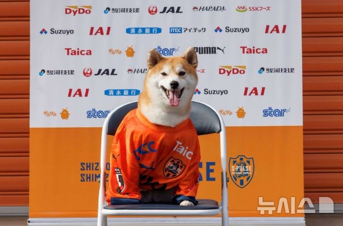 [서울=뉴시스]일본 프로축구 J1(1부)의 시미즈 에스펄스 구단은 1일 구단 홈페이지를 통해 새로운 선수와 계약한 사실을 공개했다. 새로운 선수는 사람이 아닌 강아지였다. 만우절 이벤트였다. (사진 = 시미즈 에스펄스 구단 홈페이지 캡처)