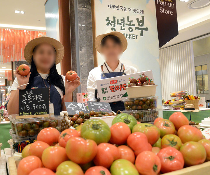 [부산=뉴시스] 지난해 롯데백화점 부산본점에서 열린 청년농부 파머스 마켓에서 토마토 상품을 소개하는 직원. (사진=롯데백화점 제공) 2026.04.02. photo@newsis.com&nbsp; *재판매 및 DB 금지
