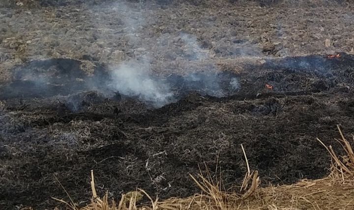 [춘천=뉴시스] 2일 강원특별자치도는 2일 봄철 건조한 날씨와 강풍으로 산불 발생 위험이 높아짐에 따라 산불 예방 단속을 강화하고, 위반 행위에 대해 과태료 부과 등 엄정 대응을 밝혔다. 강원특별자치도 제공. *재판매 및 DB 금지