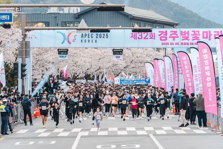 지난해 4월5일 열린 ‘제33회 경주벚꽃마라톤대회’ 모습. (사진=관광공사) *재판매 및 DB 금지