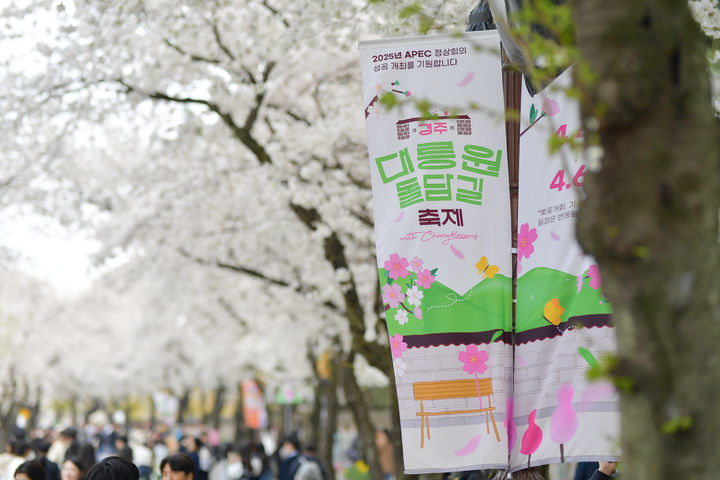 [서울=뉴시스] 2025년 경주 대릉원돌담길 축제 현장. (사진 = 경주문화재단 홈페이지 캡처) *재판매 및 DB 금지
