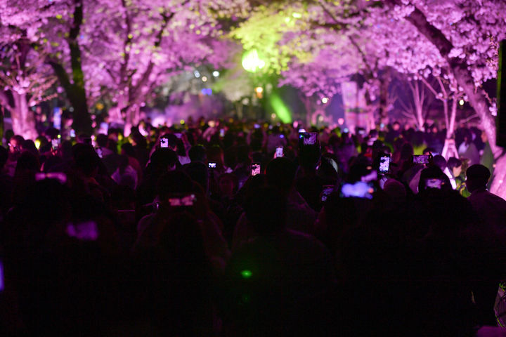 [서울=뉴시스] 2025년 경주 대릉원돌담길 축제 현장. (사진 = 경주문화재단 홈페이지 캡처) *재판매 및 DB 금지