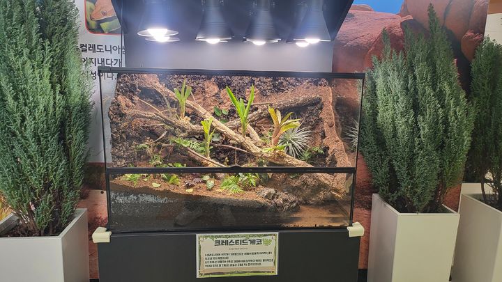 [울산=뉴시스] *재판매 및 DB 금지