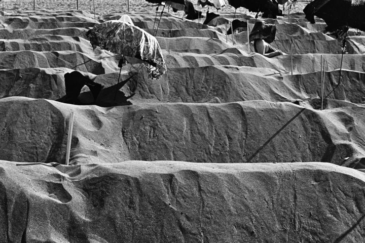 육명심_제주도 삼양(1984) *재판매 및 DB 금지