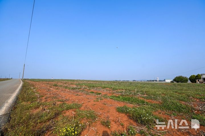 [무안=뉴시스] 2일 오후 국방부가 광주 군공항 예비이전 후보지로 선정한 전남 무안군 망운면의 한 노지 상공에서 경비행기가 날고 있다. 2026.04.02. lhh@newsis.com