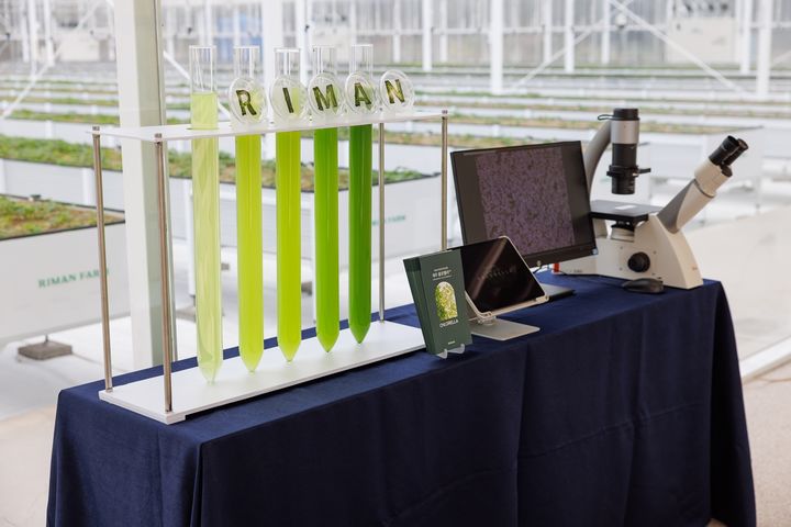 [제주=뉴시스] 리만코리아 내부에 전시된 '제주 클로렐라' (사진=리만코리아 제공) 2026.04.03. photo@newsis.com *재판매 및 DB 금지