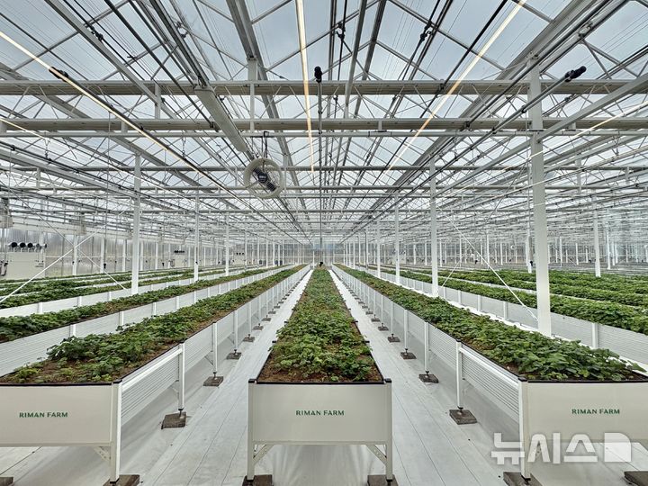[제주=뉴시스] 권민지 기자 = 제주 구좌읍에 위치한 리만코리아의 스마트팜 '리만팜' 재배동 전경 2026.04.03. ming@newsis.com