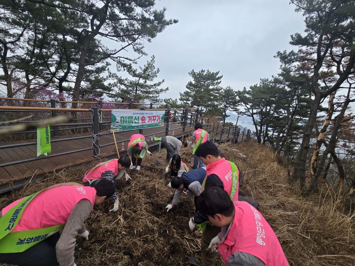 [통영=뉴시스] 신정철 기자= 통영관광개발공사는 3일, 식목일을 앞두고 통영시 봉평동·산양읍 일대의 미륵산 일원에서 ‘제4회 진달래 숲 가꾸기 행사’를 열고 자연환경 보전 활동을 펼쳤다.사진은 통영관광개발공사 임직원들의 진달래 식재 모습.(사진=통영관광개발공사 제공).2026.04.03. photo@newsis.com *재판매 및 DB 금지