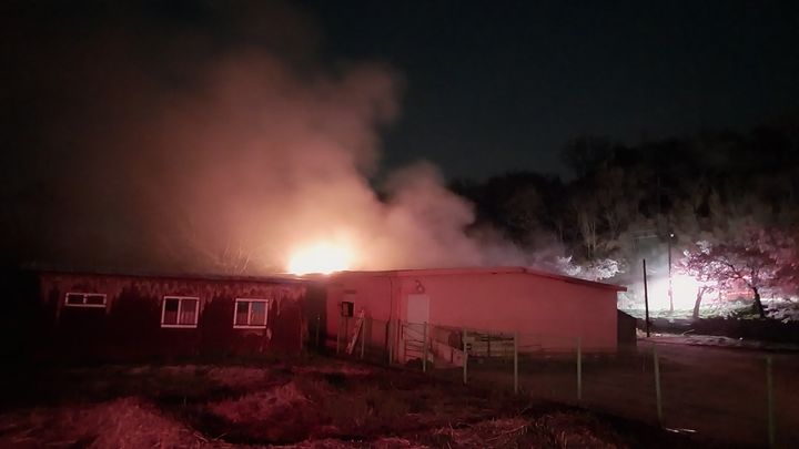 합천 돈사 화재, 돼지 100마리 폐사…5650만원 재산피해