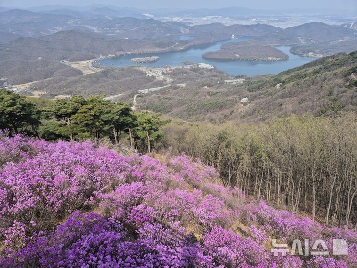 [진천소식]두타산 삼형제봉 등산로 정비 등