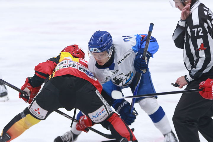 [서울=뉴시스] 아이스하키 HL 안양. (사진=HL 안양 제공) 2026.04.02. photo@newsis.com *재판매 및 DB 금지