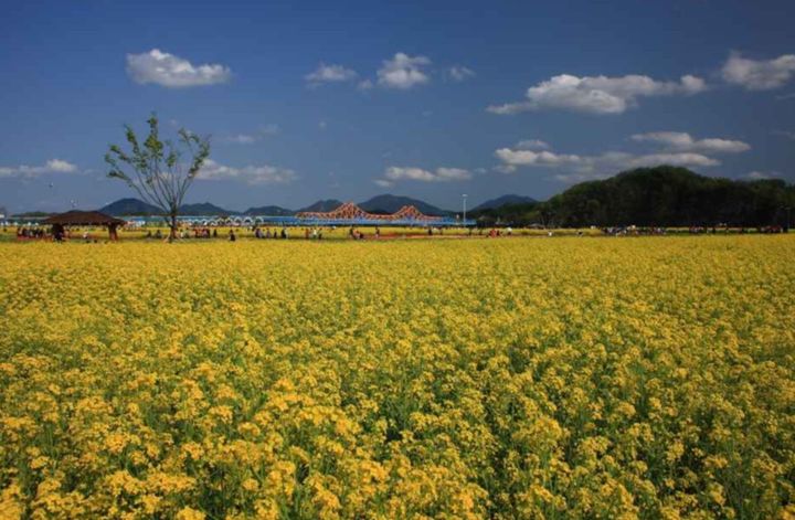 사진 창녕군 *재판매 및 DB 금지