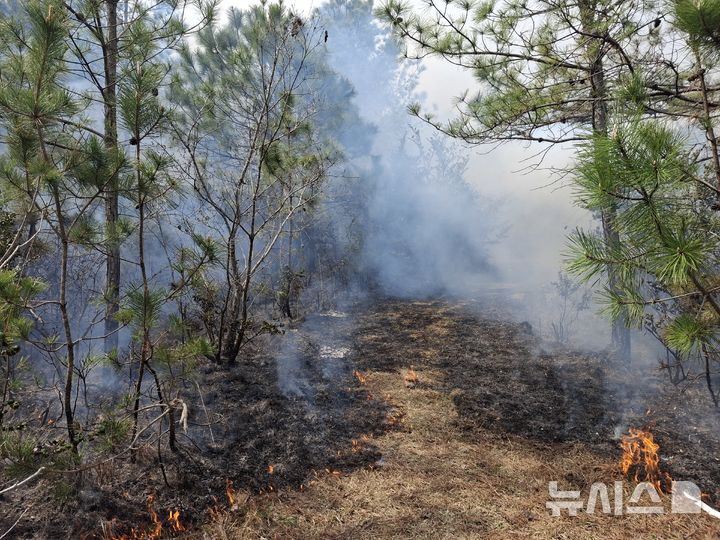 [영암=뉴시스] 3일 오후 1시29분께 전남 영암군 삼호읍 한 고등학교 주변 야산에서 불이 나 산림 당국이 진화 중이다. (사진 = 전남소방본부 제공) 2026.04.03.photo@newsis.com