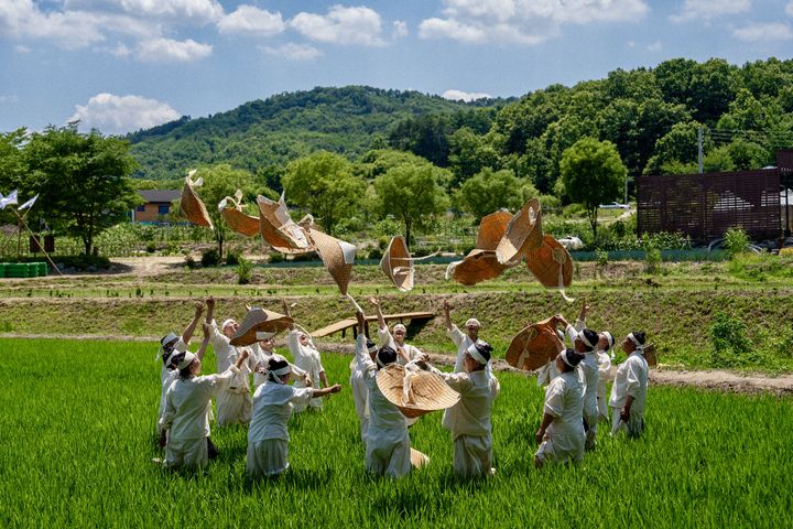[증평소식]군, 식목일 앞두고 '소나무' 4500그루 식재 등