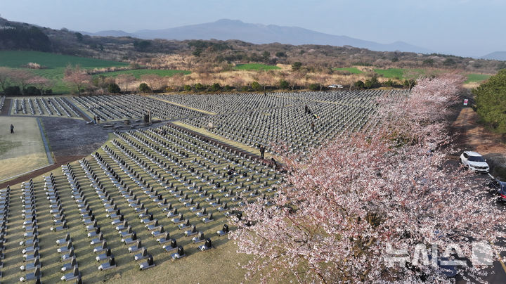 [제주=뉴시스] 우장호 기자 = 제78주년 제주 4·3 희생자 추념일인 3일 오전 제주시 봉개동 제주4·3평화공원 행방불명인 표석에 유족들의 발걸음이 이어지고 있다. 2026.04.03. woo1223@newsis.com