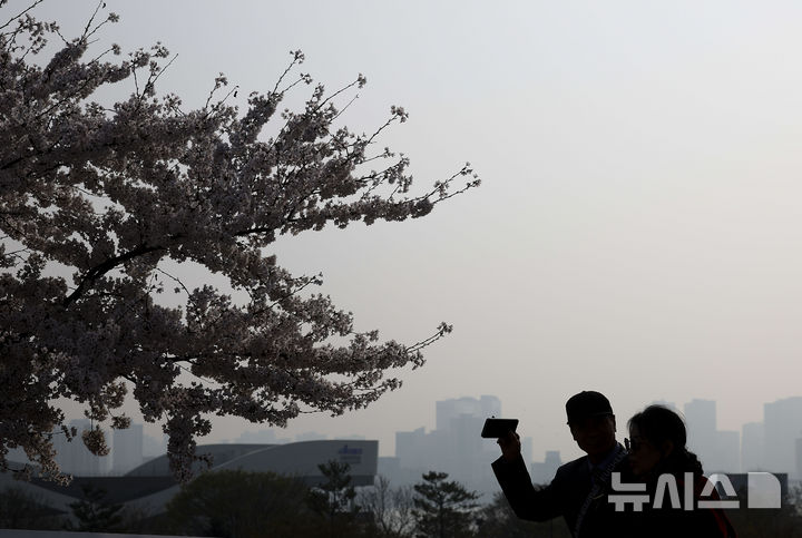 [서울=뉴시스] 정병혁 기자 = 미세먼지와 초미세먼지 농도가 나쁨 수준을 보인 3일 서울 영등포구 여의나루역 인근에서 외국인 여행객들이 벚꽃을 바라보고 있다. 2026.04.03. jhope@newsis.com