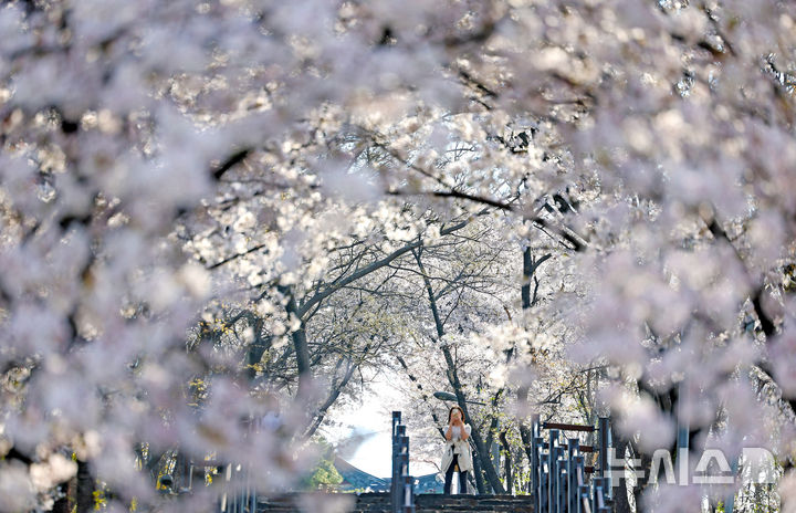 계단 아래로 쏟아지는 ‘봄’