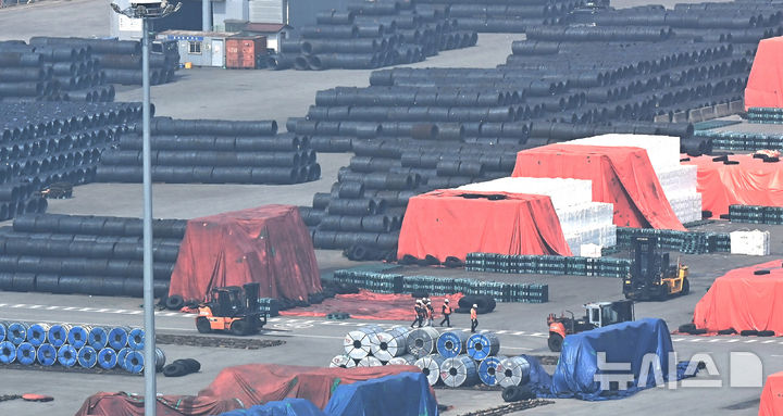 평택항 야적장에 쌓여있는 철강제품들