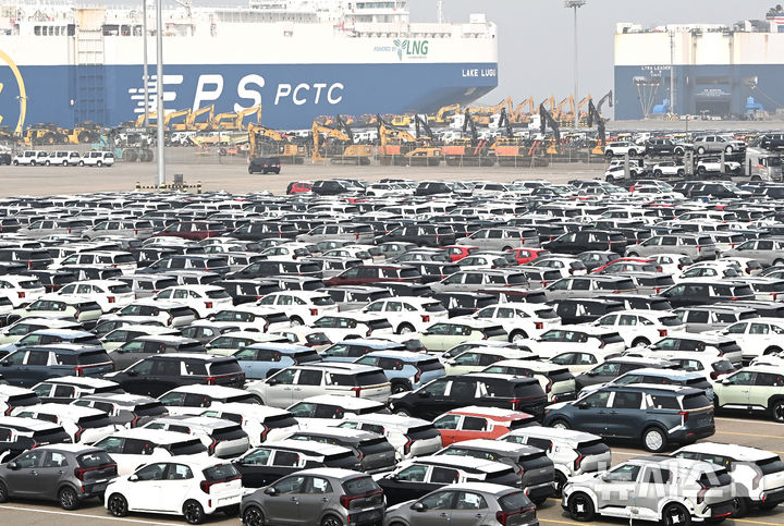 수출 대기중인 자동차