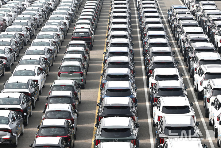 수출 대기중인 자동차