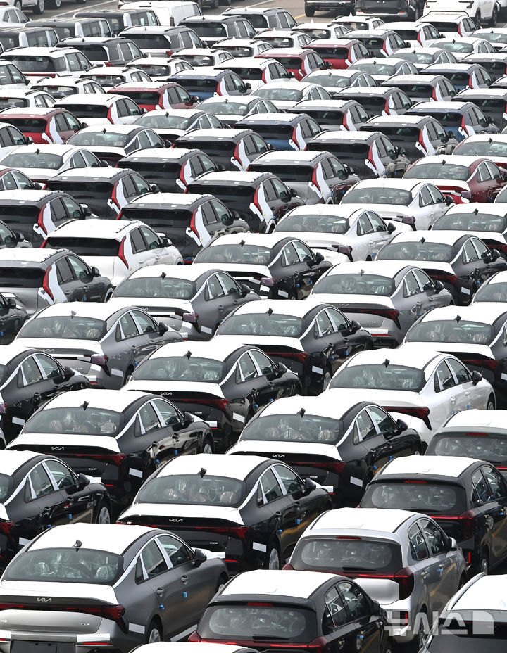 평택항 자동차 전용부두에 세워져 있는 수출용 자동차