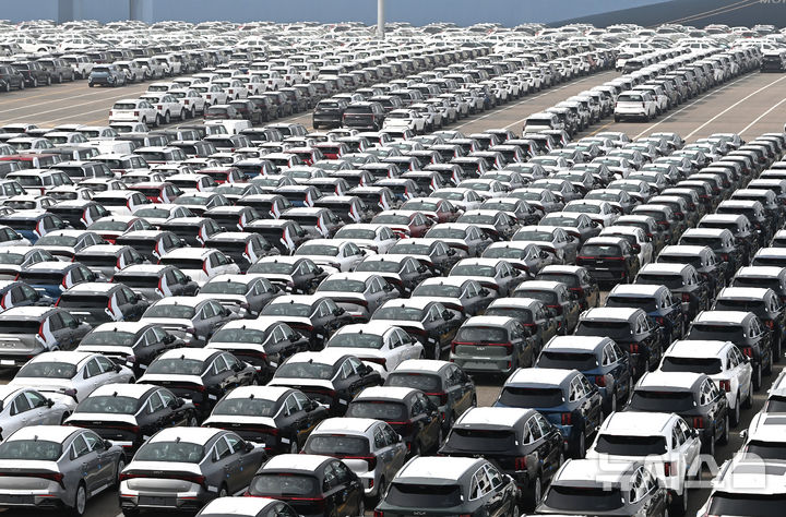 수출 대기중인 자동차