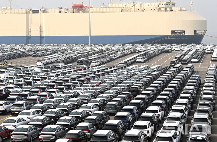 선적 기다리는 수출용 자동차