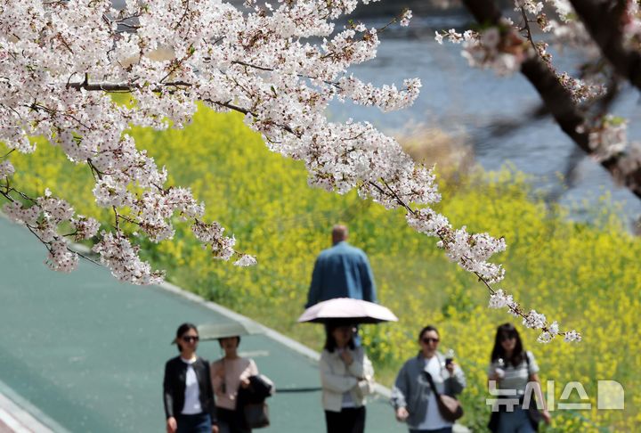  [부산=뉴시스] 하경민 기자 = 포근한 날씨를 보인 3일 부산 연제구 온천천 산책로를 찾은 시민들이 봄 나들이를 즐기고 있다. 2026.04.03. yulnetphoto@newsis.com