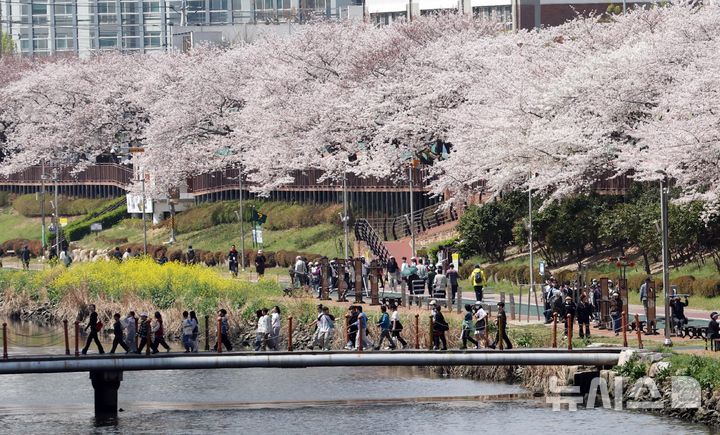  [부산=뉴시스] 하경민 기자 = 포근한 날씨를 보인 3일 부산 연제구 온천천 산책로를 찾은 시민들이 봄 나들이를 즐기고 있다. 2026.04.03. yulnetphoto@newsis.com