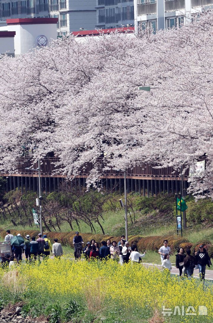  [부산=뉴시스] 하경민 기자 = 포근한 날씨를 보인 3일 부산 연제구 온천천 산책로를 찾은 시민들이 봄 나들이를 즐기고 있다. 2026.04.03. yulnetphoto@newsis.com
