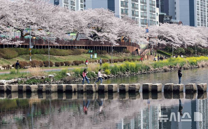 [부산=뉴시스] 하경민 기자 = 포근한 날씨를 보인 3일 부산 연제구 온천천 산책로를 찾은 시민들이 봄 나들이를 즐기고 있다. 2026.04.03. yulnetphoto@newsis.com