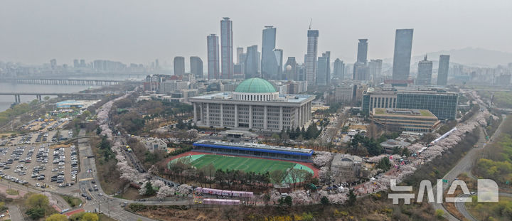 벚꽃 만개한 윤중로, 봄꽃 축제 시작