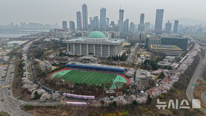 벚꽃 만개한 윤중로, 봄꽃 축제 시작