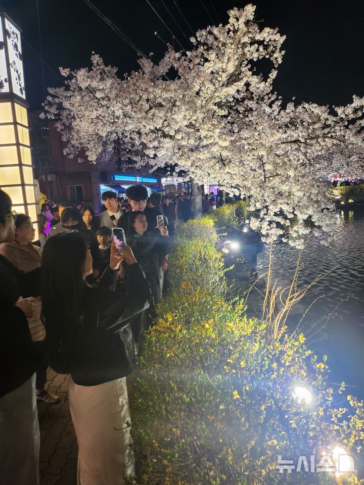 상춘객 몰린 '2026 김천 연화지 벚꽃 축제'