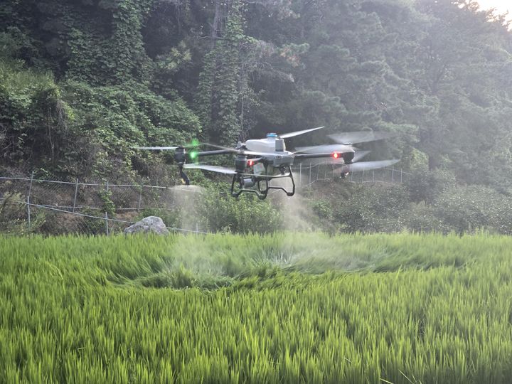[김천=뉴시스] 드론 활용 농작물 병해충 방제. (사진=김천시 제공) 2026.04.04 photo@newsis.com *재판매 및 DB 금지
