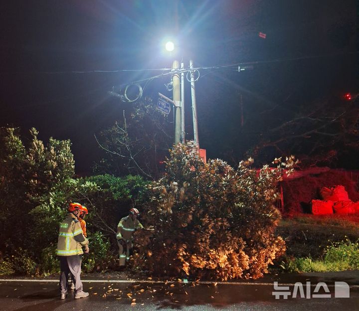 [제주=뉴시스] 4일 오전 제주시 한림읍 도로에 나무가 쓰러져 소방당국이 안전조치를 하고 있다. (사진=제주소방안전본부 제공) 2026.04.04. photo@newsis.com
