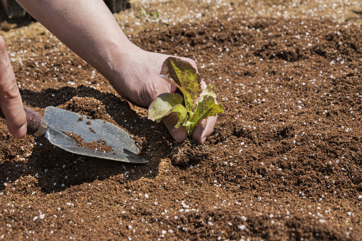 [서울=뉴시스] 고대 중국에서는 인간의 배설물이 단순한 폐기물이 아닌, 돈이 되는 자원으로 취급됐다. (사진=유토이미지) *재판매 및 DB금지 *재판매 및 DB 금지