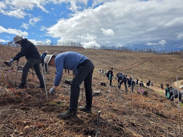 [서울=뉴시스] SK텔레콤과 유한킴벌리 임직원·가족 100여 명이 안동 산불 피해 지역에서 나무심기 활동을 하고 있는 모습. (사진=SK텔레콤 제공) 2026.04.05. photo@newsis.com *재판매 및 DB 금지