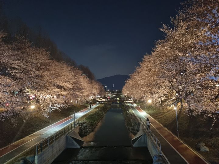 [뉴시스] 여의천 모습. (사진=서초구 제공) *재판매 및 DB 금지