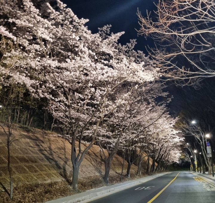 [뉴시스] 도구머리 공원. (사진=서초구 제공) *재판매 및 DB 금지