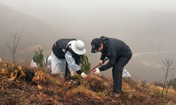 [서울=뉴시스] 블랙야크강태선나눔재단이 'BYN 숲으로, 숲으로' 캠페인을 진행했다. (사진=블랙야크 제공) 2026.04.06. photo@newsis.com *재판매 및 DB 금지